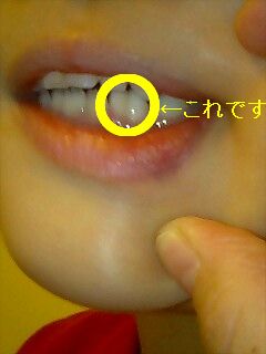 081022_1802~0001.jpg