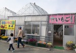 20080412いちご狩りb.jpg