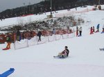 20110115kamui1.jpg
