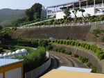 20110801愛知こどもの国2.jpg
